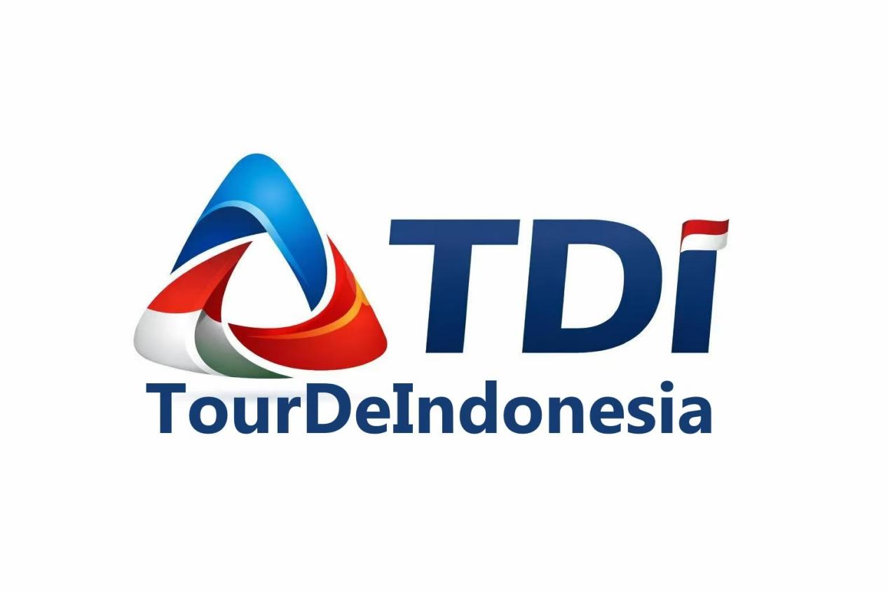 TDI logo